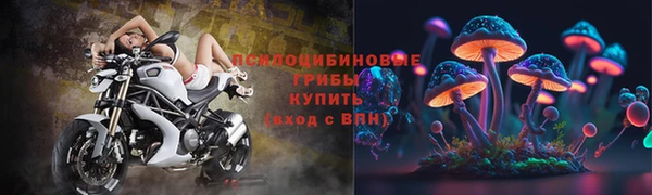 прущие грибы Баксан
