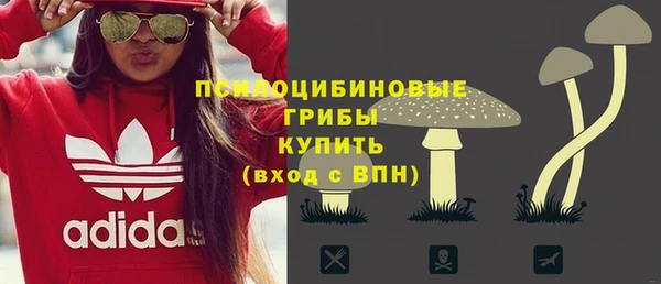 прущие грибы Баксан