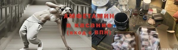 прущие грибы Баксан