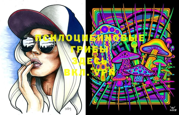 крисы Балабаново