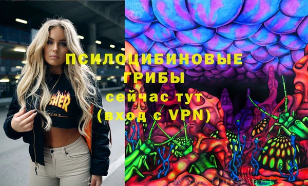 прущие грибы Баксан