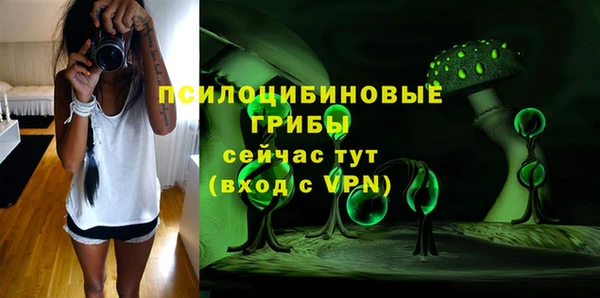 прущие грибы Баксан