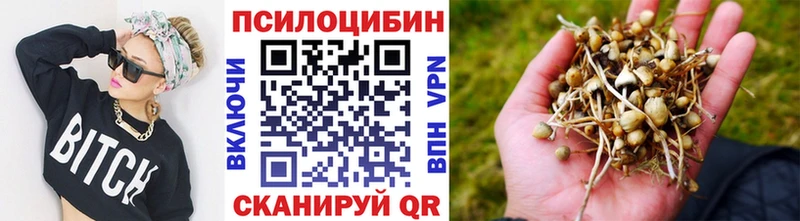 Псилоцибиновые грибы MAGIC MUSHROOMS  Буйнакск 