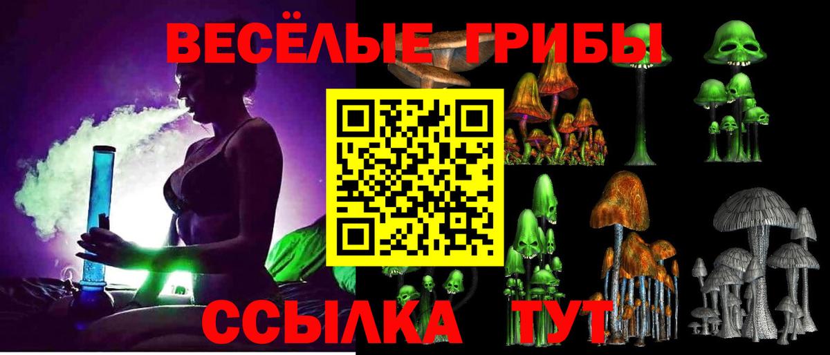 сколько стоит  Псилоцибиновые грибы прущие грибы  Вход с VPN  Галлюциногенные грибы мухоморы  Буйнакск 