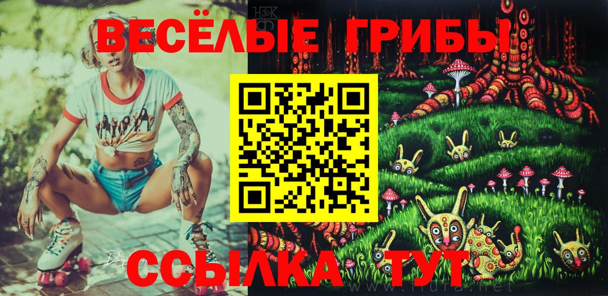 Галлюциногенные грибы Psilocybe Буйнакск